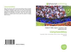 Обложка Llanymawddwy