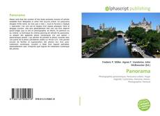 Panorama的封面
