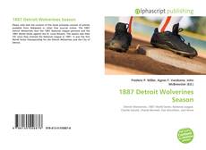 Copertina di 1887 Detroit Wolverines Season