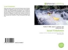 Israel Finkelstein的封面