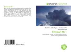 Borítókép a  Bisnovat SK-1 - hoz