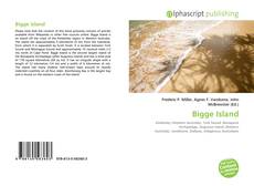 Borítókép a  Bigge Island - hoz