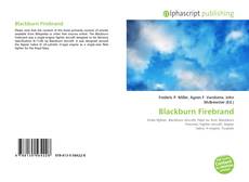 Bookcover of Blackburn Firebrand