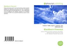 Bookcover of Blackburn Firecrest