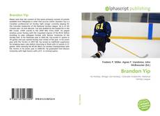 Brandon Yip的封面