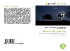Tower of Kamyanyets的封面