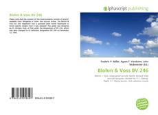 Couverture de Blohm