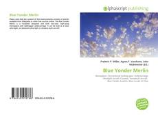 Blue Yonder Merlin的封面