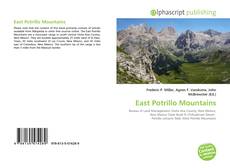 Borítókép a  East Potrillo Mountains - hoz