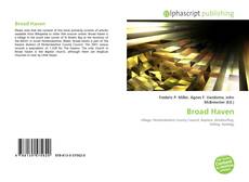 Portada del libro de Broad Haven