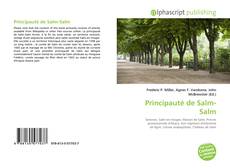 Bookcover of Principauté de Salm-Salm