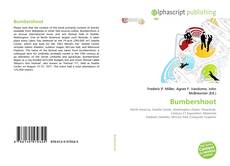 Bookcover of Bumbershoot
