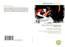 Martin Solveig的封面
