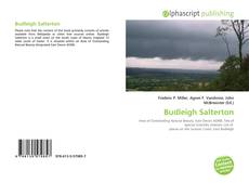 Borítókép a  Budleigh Salterton - hoz