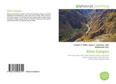 Bookcover of Aliso Canyon
