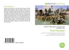 Trevi Fountain的封面