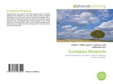 Eucalyptus Marginata的封面