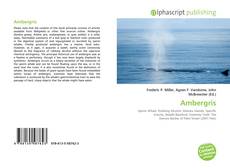 Borítókép a  Ambergris - hoz
