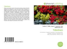 Tidenham的封面