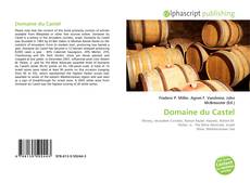 Bookcover of Domaine du Castel