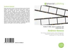 Bookcover of Andrew Kosove