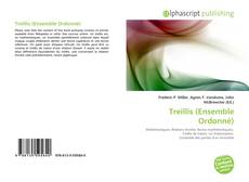 Treillis (Ensemble Ordonné)的封面