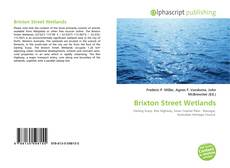 Borítókép a  Brixton Street Wetlands - hoz