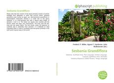 Borítókép a  Sesbania Grandiflora - hoz