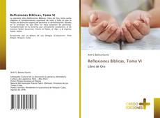 Reflexiones Bíblicas, Tomo VI的封面