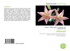 Borítókép a  Adenium - hoz