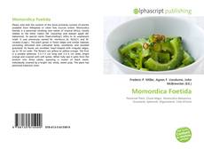 Borítókép a  Momordica Foetida - hoz