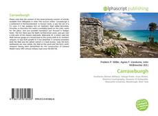 Bookcover of Carrawburgh