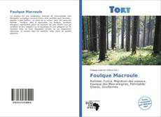 Capa do livro de Foulque Macroule 