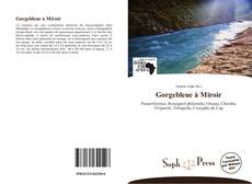 Bookcover of Gorgebleue à Miroir