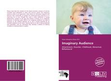 Capa do livro de Imaginary Audience 