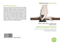 Borítókép a  White-Rumped Shama - hoz