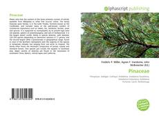 Borítókép a  Pinaceae - hoz