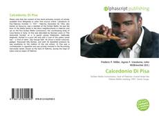 Borítókép a  Calcedonio Di Pisa - hoz