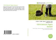 Buchcover von 1914 Detroit Tigers Season
