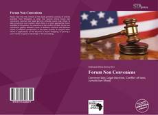 Bookcover of Forum Non Conveniens