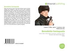 Benedetto Santapaola的封面