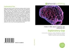 Bookcover of Explanatory Gap