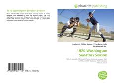 Bookcover of 1920 Washington Senators Season
