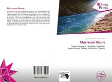 Portada del libro de Macreuse Brune