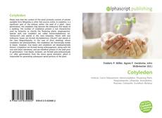 Borítókép a  Cotyledon - hoz