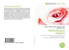 Methodological solipsism的封面