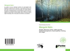 Bookcover of Mergule Nain