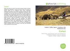 Borítókép a  Cañari - hoz