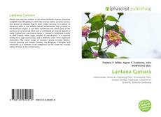 Borítókép a  Lantana Camara - hoz