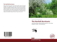 The Norfolk Burnhams的封面